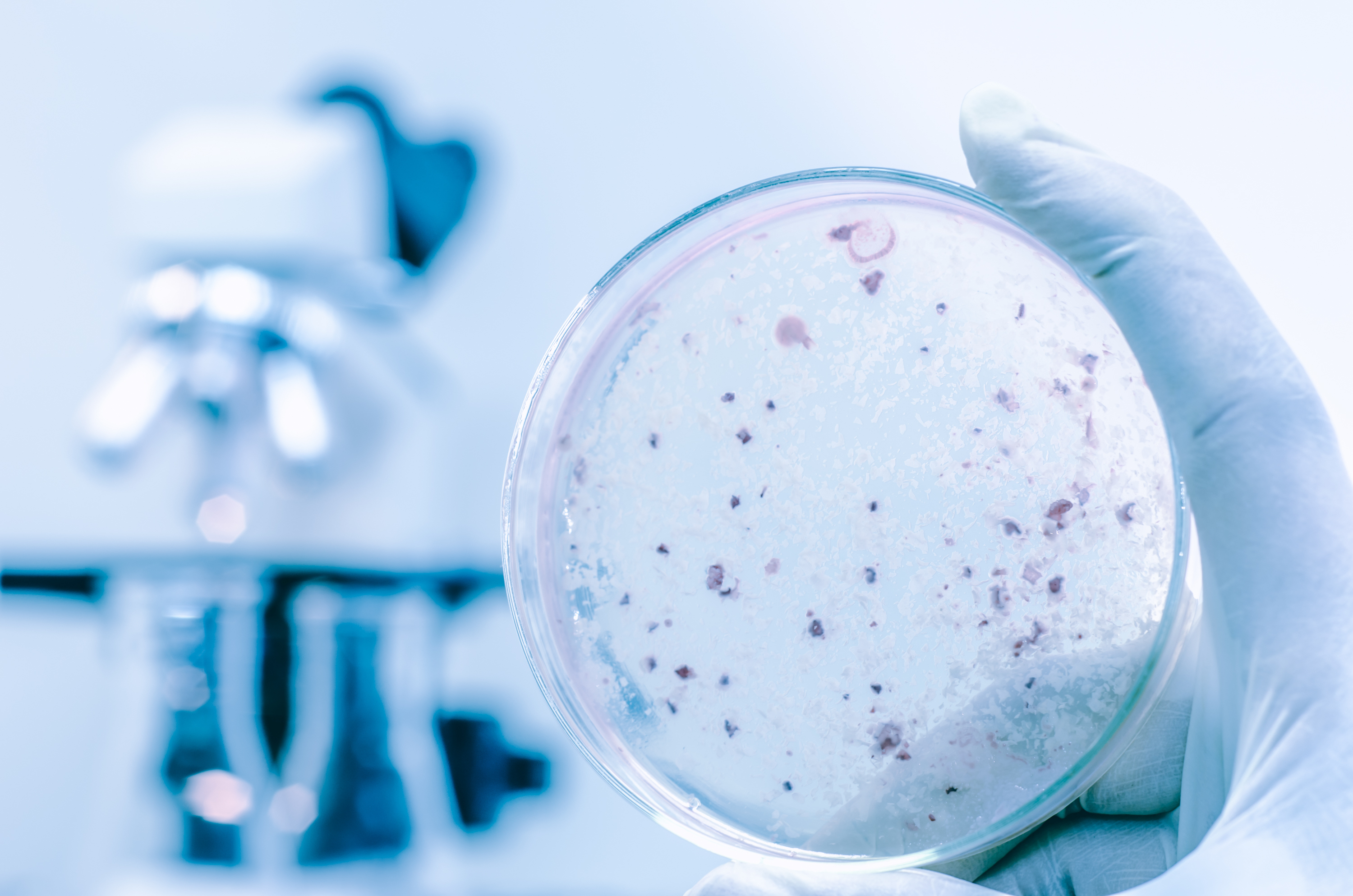 shutterstock_222680749 (1)